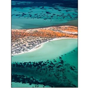 NWOT Sealife Different Shark Bay Aerial - Tea towel